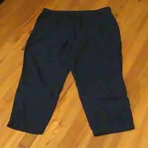 Talbots tencel pants